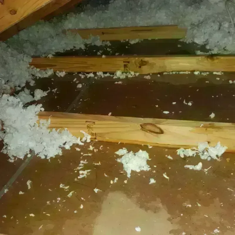 Attic Water Damage in Bull Valley, IL