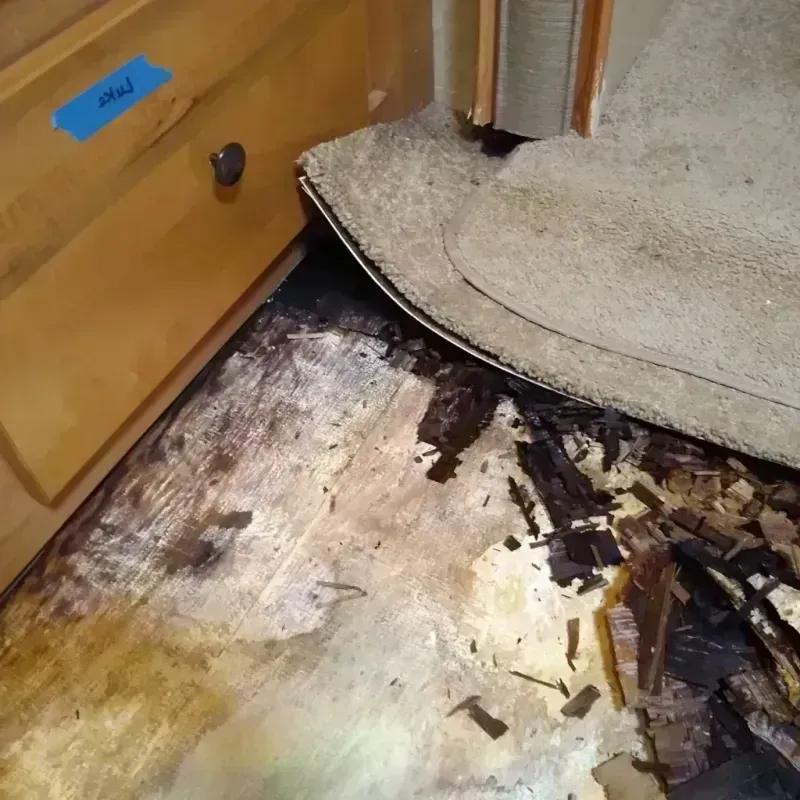 Wood Floor Water Damage in Bull Valley, IL